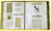Album of press cuttings recording Maharajah Duleep Singh